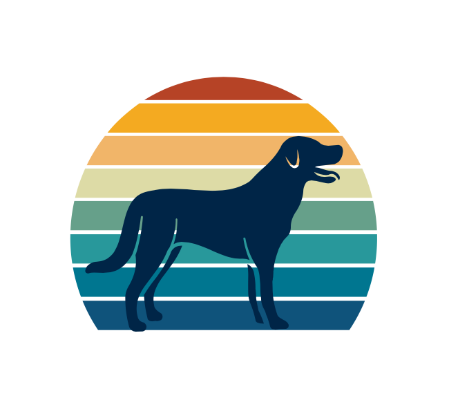 Nervous dogs. Anxious dogs. Calm environment for dogs North Devon
