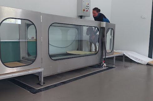 Aquatic Treadmill. Water Treadmill for dogs